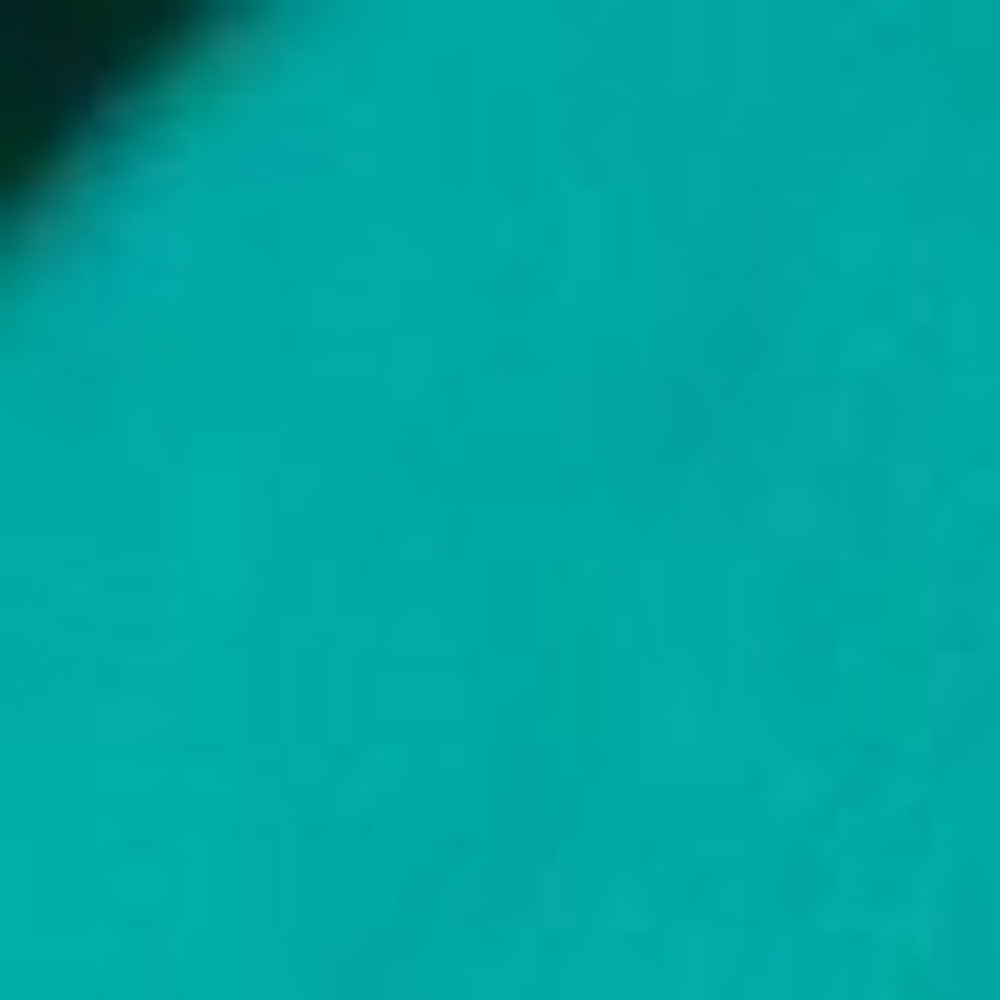 Baltogs Dance briefs Costume green / Jade CM Performances DANCEWEAR